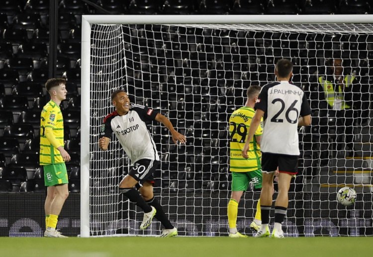 Fulham đang xếp thứ 11 trên BXH Premier League 