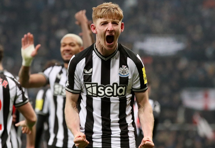 Premier League: Newcastle sẽ không dễ chơi tưng bừng