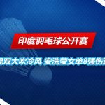 印度羽毛球公开赛 安洗莹无缘决赛