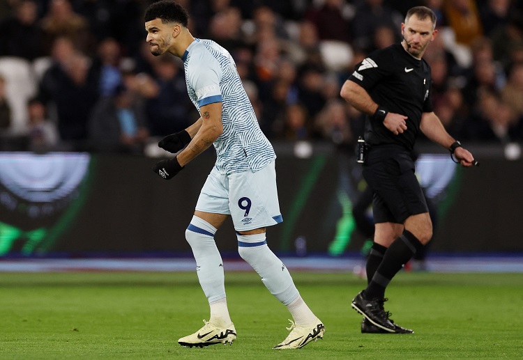 Dominic Solanke has scored 13 goals for Bournemouth in their Premier League campaign