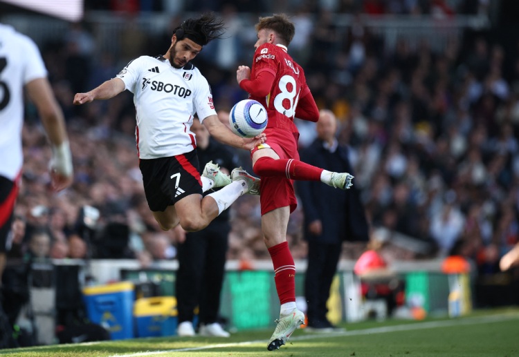 Fulham relied heavily on Raul Jimenez as their leading striker during the Premier League campaign