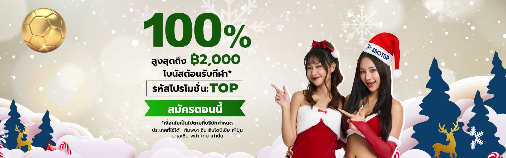 Slider 3 – Dec Xmas TH